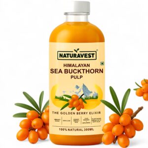Sea Buckthorn Pulp