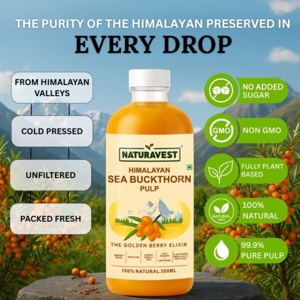 Sea Buckthorn Pulp - Image 4